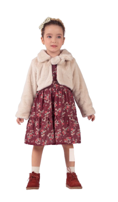 Wholesale Girl's 2-Piece Dress and Vest Set 2-5Y Elayza 2023-2283 - Elayza