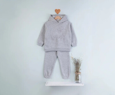 Wholesale Girls' Tracksuit Set 3-6Y BabyRose 1002-7794 - Babyrose