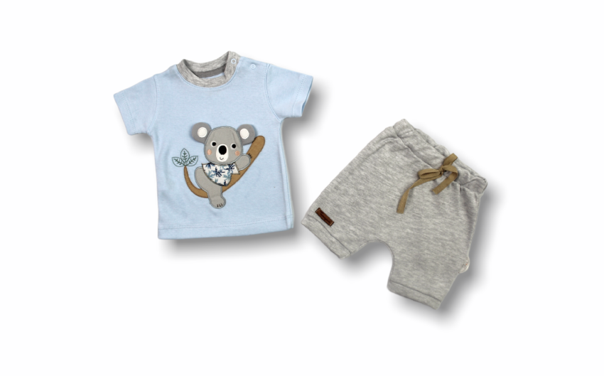 Toptan Erkek Bebek 2'li Tişört ve Şort Takım 1-12M Tomuycuk 1074-75542-03 - 1