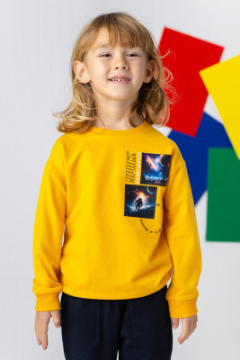 Toptan Erkek Çocuk Baskılı Basic Sweatshirt 3-14Y Zeyland 1070-241Z3SPC61 - Zeyland