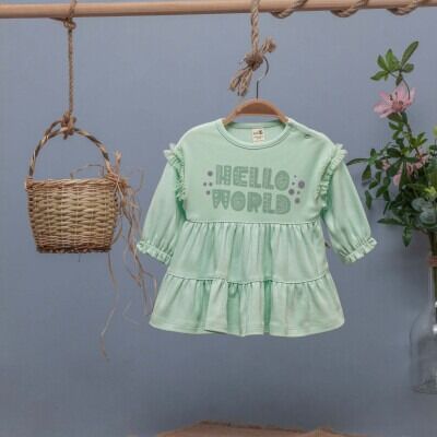 Toptan Kız Bebek Elbisesi 6-24M BabyZ 1097-5401 - BabyZ