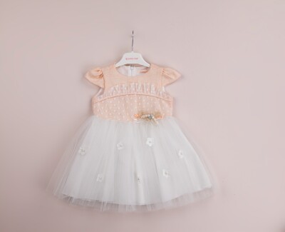 Toptan Kız Çocuk Tüllü Elbise 1-4Y BabyRose 1002-4040 - BabyRose (1)