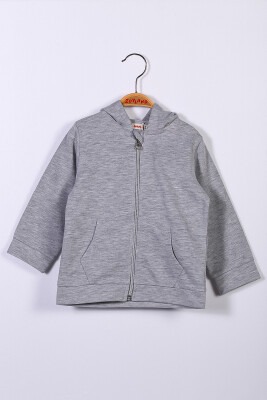 Toptan Unisex Çocuk Kapüşonlu Hırka 1-4Y Zeyland 1070-221Z2LPY21 Gri
