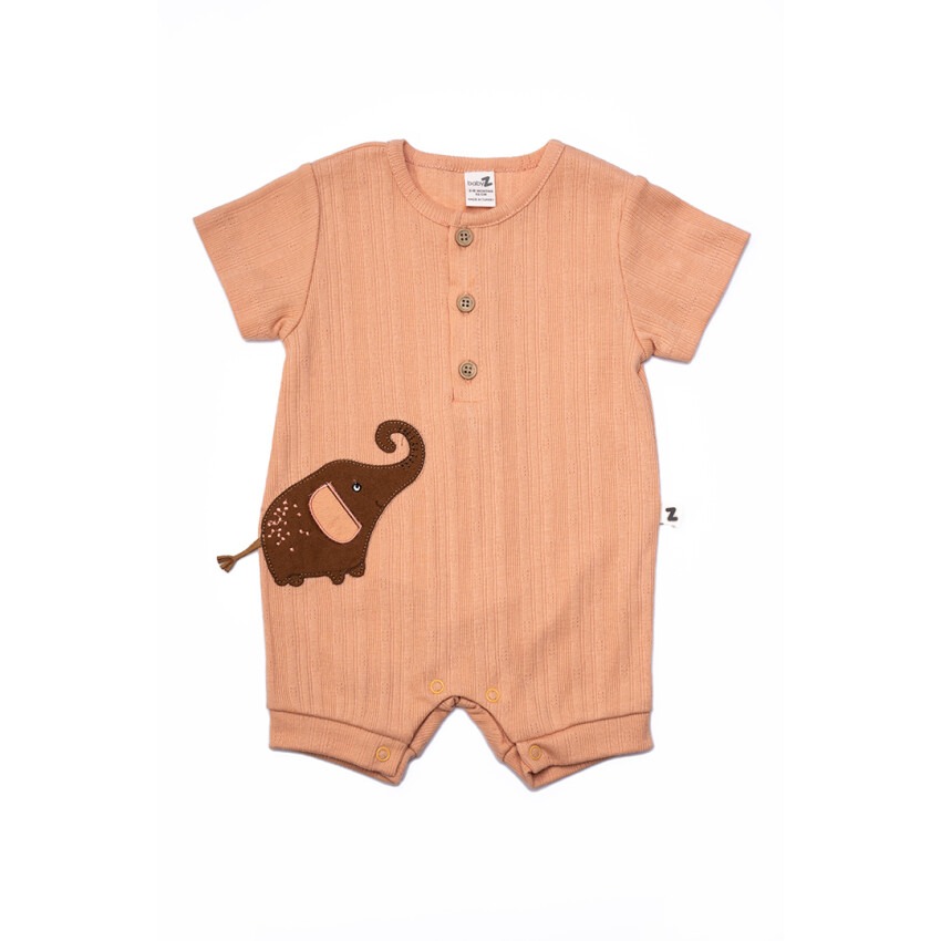 Wholesale Baby Boys Rompers 3-12M BabyZ 1097-4307 - 1