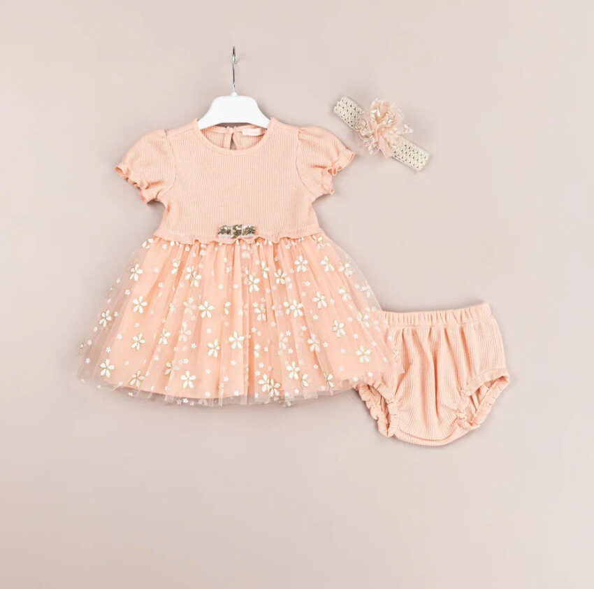 Wholesale Baby Girls 2-Piece Dress and Panties Set 3-12M BabyRose 1002-4482 - 3