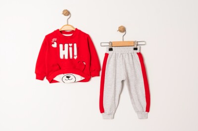Wholesale Baby Girls 2-Piece Tracksuit Set 9-24M Tofigo 2013-9201 - Tofigo