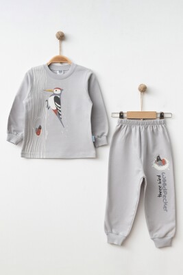 Wholesale Boy's Tracksuit Set 2-4Y Hoppidik 2017-2378 Gray