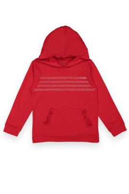 Wholesale Girls Hoodie with Printed 6-9Y Divonette 1023-2049-3 Red